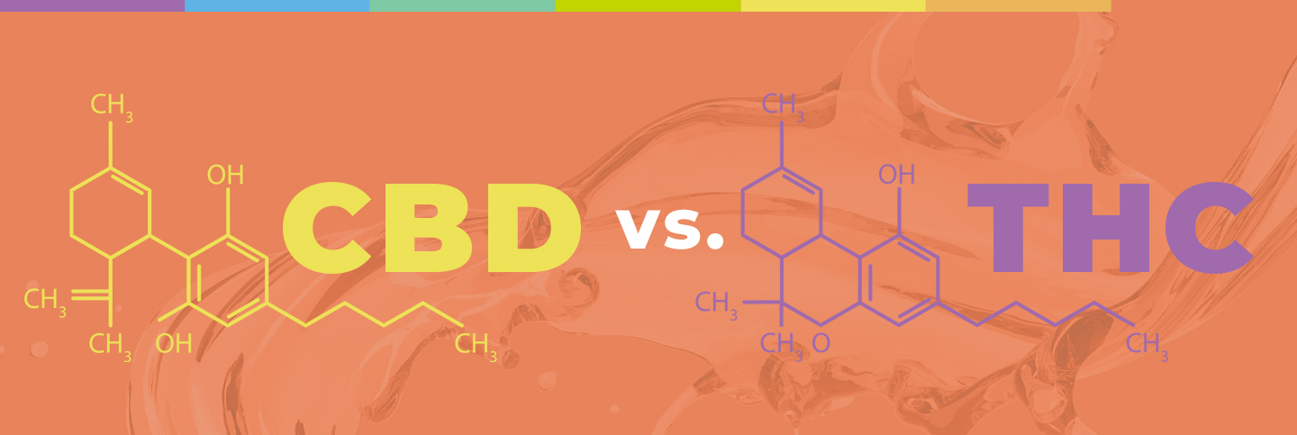 CBD vs THC